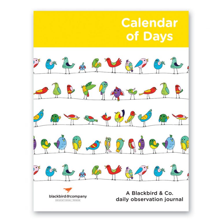 Calendar of Days Kindergarten Bundle Blackbird and Company