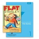 flat stanley bundle