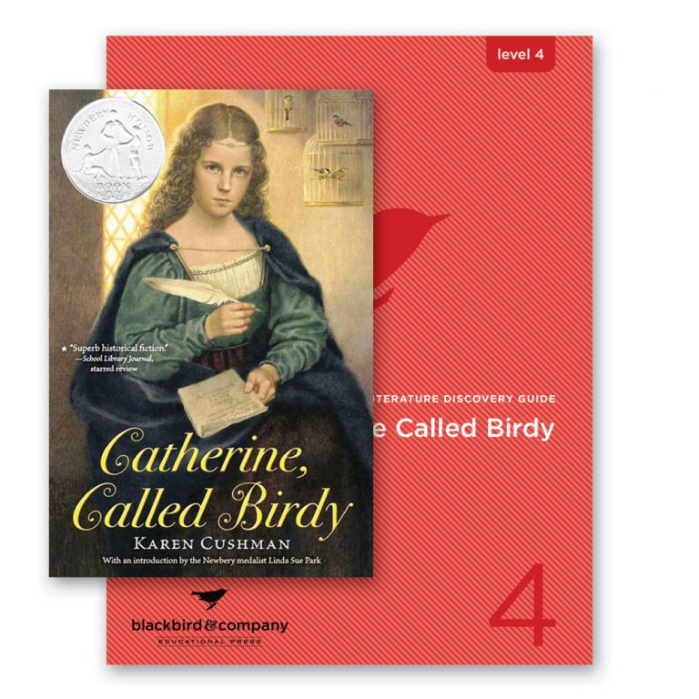 book catherine called birdy