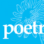 Exploring Poetry