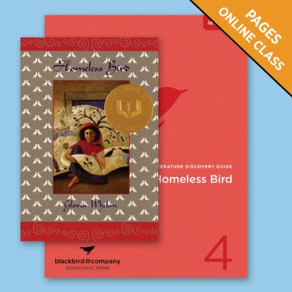 Class: Homeless Bird
