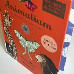 Crafting a Wonder-FULL Sentence is Courageous