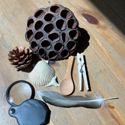 Observation Journal: Leonardo daVinci - Bundle - Image 11