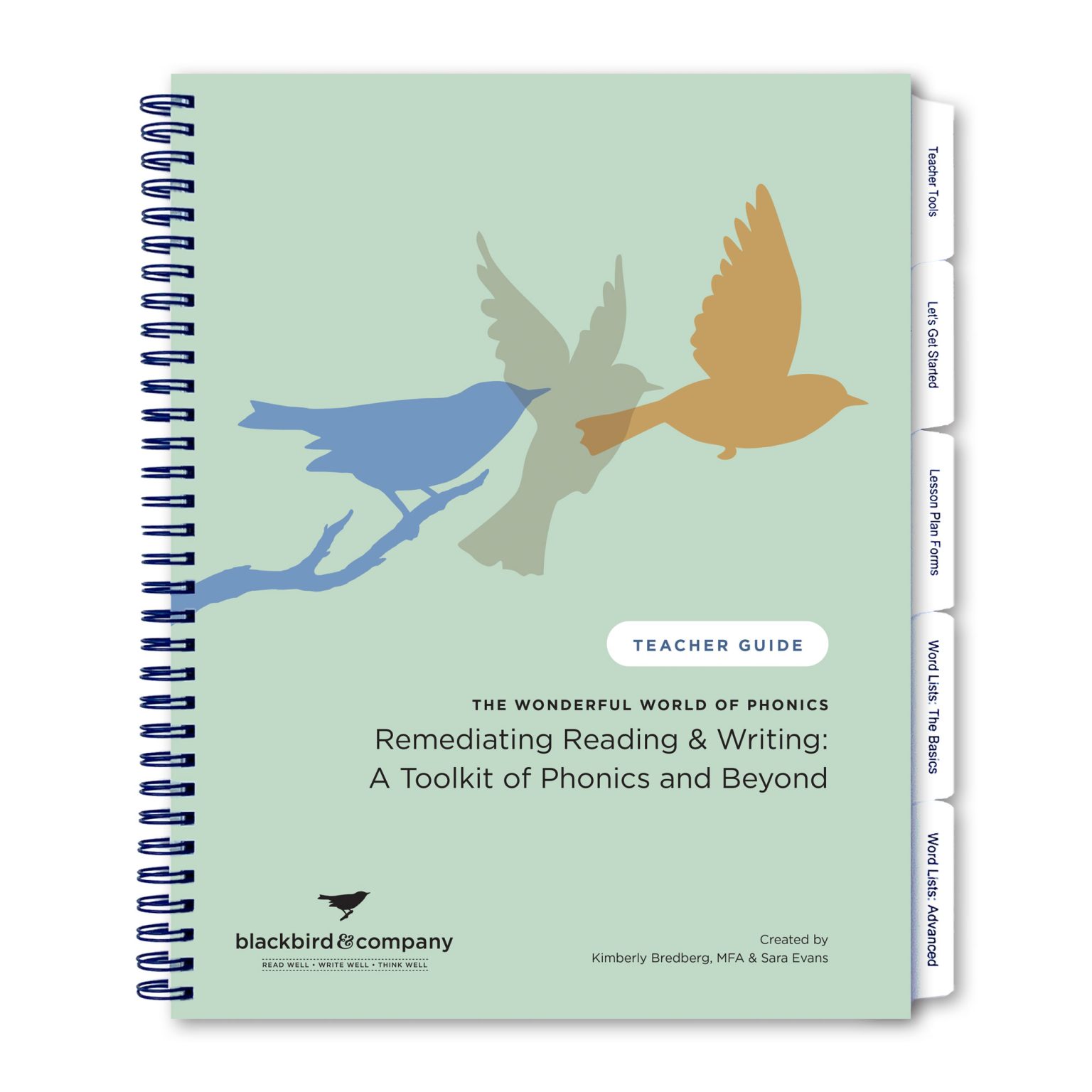 Remediating Reading & Writing – Bundle – Blackbird and Company