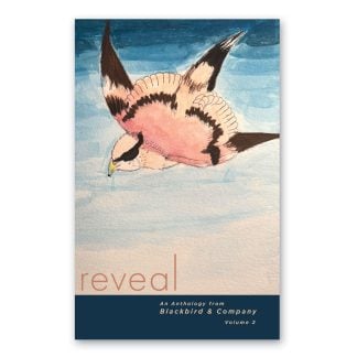 Reveal 2025