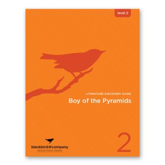 Boy of the Pyramids  - Guide