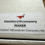 ABCeDarian Activity Box