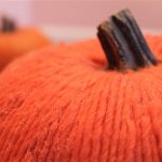 Fall is Just Around the Corner!