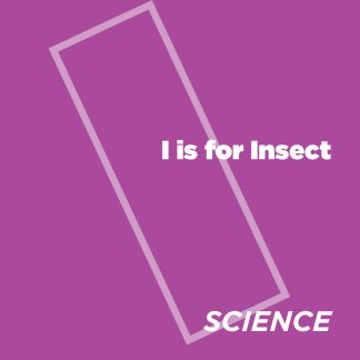 ABCeDarian Crafts: I is for Insect