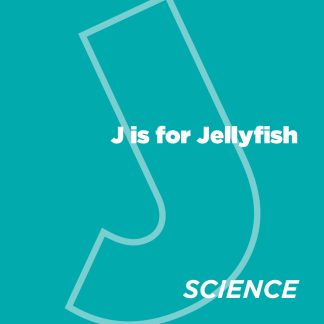 ABCeDarian Crafts: J is for Jellyfish