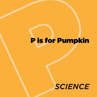 ABCeDarian Crafts: P is for Pumpkin Anatomy