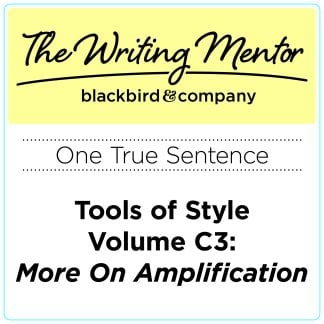 Tools of Style C3: More on Amplification