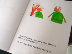 flat stanley sectioin five project