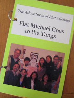 flat stanley sectioin five project