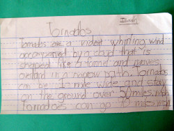 tornado section five project